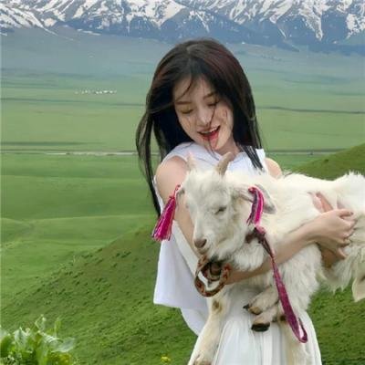 奥迈耶的痴梦封面