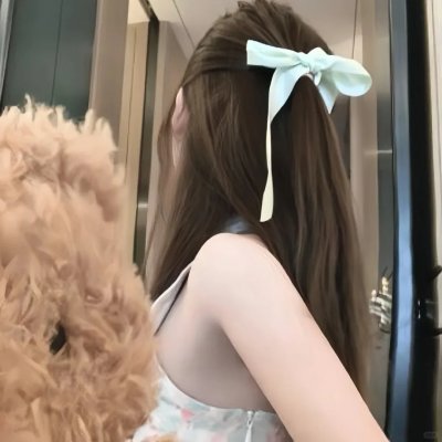 我是海鸥封面