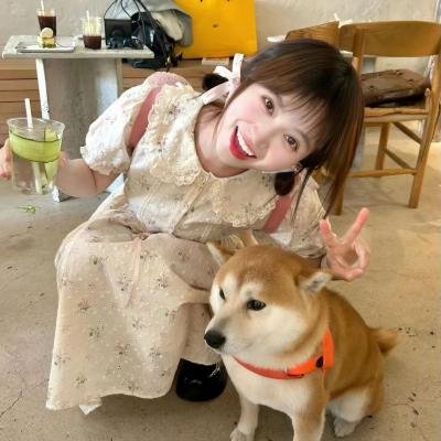 小爱神封面